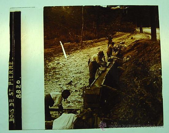 Fotografia antica: ANTIGUA FOTOGRAFIA ESTEREOSCOPICA DE CRISTAL - ESTEREOCOPIA - BOIS DE ST PIERRE - MIDE 10,5 X 4,5 CM