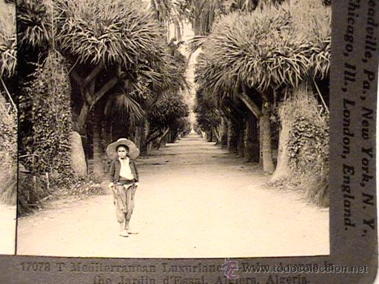 Fotografia antica: VISTA ESTEREOSC&Oacute;PICA ANIMADA DE ARGELIA CIRCA 1930 DE KEYSTONE