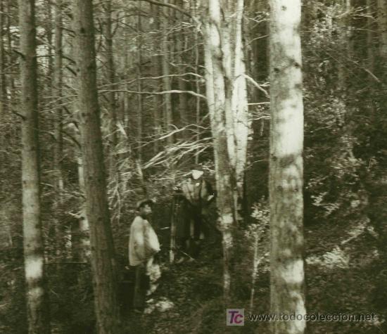 Antique Photography: Dos se&ntilde;ores en pleno bosque. Lugar sin identificar. Circa 1920.