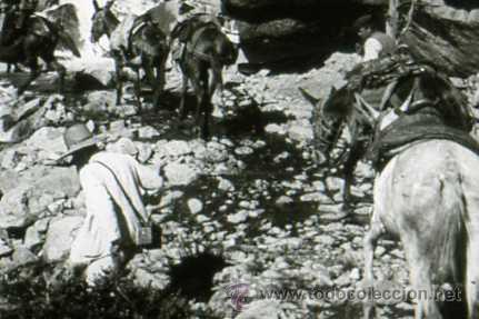Fotografia antica: FOTO ESTEREOSCOPICA CRISTAL 60X130 CAMINO DE NURIA CON MULOS