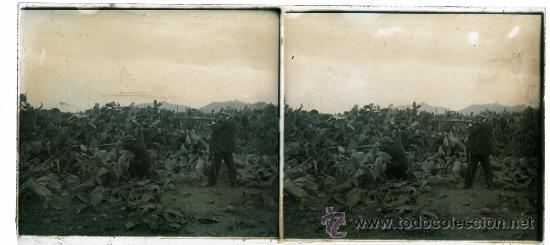 Fotografia antiga: VISTA ESTEROSCOPICA CRISTAL CACERIA A&Ntilde;OS 20