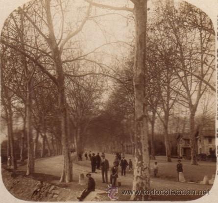 Fotografia antiga: GERONA.- LA DEHESA