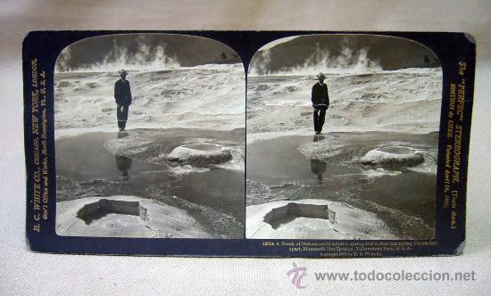 Fotografia antica: FOTOGRAFIA, ESTEREOSCOPICA, THE PERFEC STEREOGRAFIA, EDITION DE LUXE, FREAK OF NATURE, U.S.A.,1903