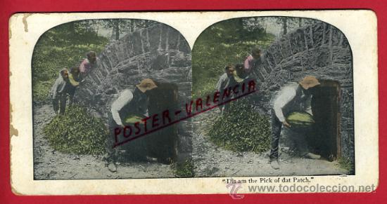 Antique Photography: FOTOGRAFIA ESTEREOSCOPICA, FOTO, ESCENA   , ORIGINAL ,S104B
