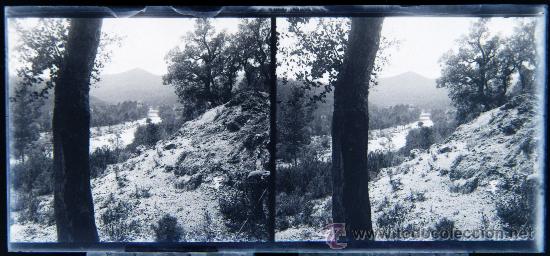 Fotografia antiga: NUMULITE CRI118 Cristal estereosc&oacute;pico Bosque lugar desconocido r&iacute;o Catalu&ntilde;a ?