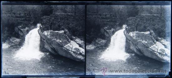 Fotografia antiga: NUMULITE CRI119 Cristal estereosc&oacute;pico Bosque lugar desconocido r&iacute;o desembocadura ? Animada