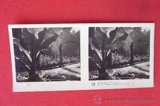 Fotografia antica: Valladolid--Campo Grande