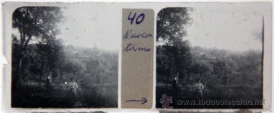 Fotografia antiga: NUMULITE CRI011 Cristal estereosc&oacute;pico Imagen antigua bosque personas lugar desconocido