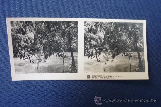 Fotografia antica: Monasterio de Piedra