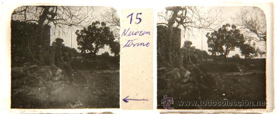 Fotografia antiga: NUMULITE CRI036 Cristal Estereosc&oacute;pico Joven y anciano jard&iacute;n bosque imagen animada de &eacute;poca