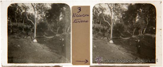 Fotografia antiga: NUMULITE CRI030 Cristal Estereosc&oacute;pico Bosque imagen de &eacute;poca animada ni&ntilde;a se&ntilde;or