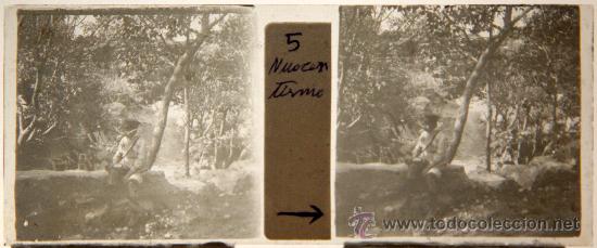 Fotografia antiga: NUMULITE C012 Cristal Estereosc&oacute;pico Ni&ntilde;o uniforme uniformado bosque gorro imagen de &eacute;poca