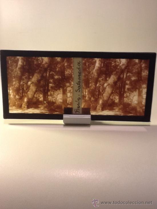 Alte Fotografie: Placa Estereoscopica Cristal (Foto Barcelona Besos Salsareda)