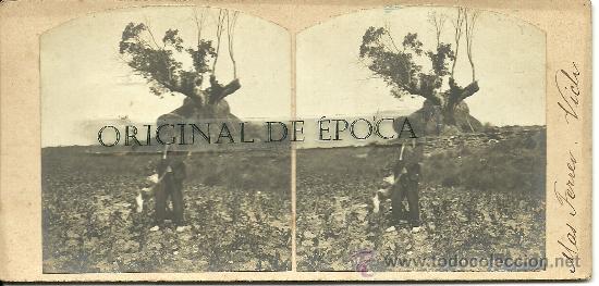 Fotografia antiga: (ES-30)FOTOGRAFIA ESTEREOSCOPICA DE VICH-MAS FERRER