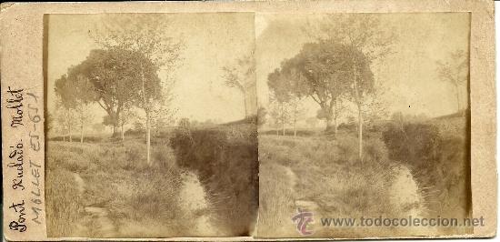 Fotografia antiga: (ES-651)FOTOGRAFIA ESTEREOSCOPICA DOBLE DE MOLLET-PONT XUCLADO Y CEPAS ARCHIVO ROS I SALLENT Y VI&Ccedil;EN