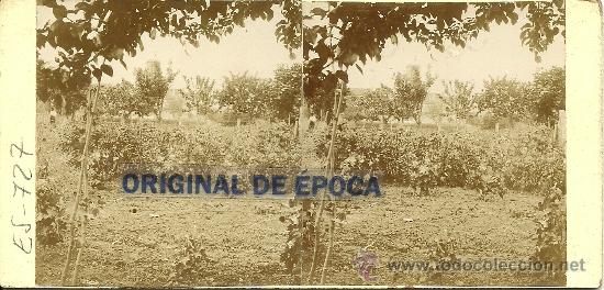 Fotografia antiga: (ES-727)FOT.ESTEREOSCOPICA ARXIU ROS I SALLENT-VICEN&Ccedil; PUJOL I MARTELLS,ALCALDES DE MOLLET DEL VALLES