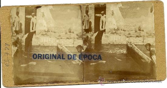 Fotografia antiga: (ES-729)FOT.ESTEREOSCOPICA ARXIU ROS I SALLENT-VICEN&Ccedil; PUJOL I MARTELLS,ALCALDES DE MOLLET DEL VALLES