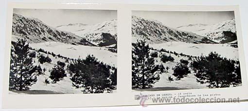 Fotografia antiga: ANTIGUA FOTO  ESTEREOSCOPICA DE LA COSTA BRAVA - PIRINEO DE GERONA - 6 X 13 CMS - RELLEY - EL ESCANE