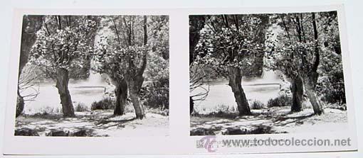 Fotografia antica: ANTIGUA FOTO ESTEREOSCOPICA DE MONASTERIO DE PIEDRA - 6 X 13 CMS - RELLEY - EL ESCANER TOMADO NO HAC