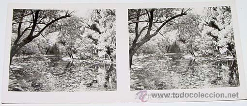 Fotografia antica: ANTIGUA FOTO ESTEREOSCOPICA DE MONASTERIO DE PIEDRA - 6 X 13 CMS - RELLEY - EL ESCANER TOMADO NO HAC