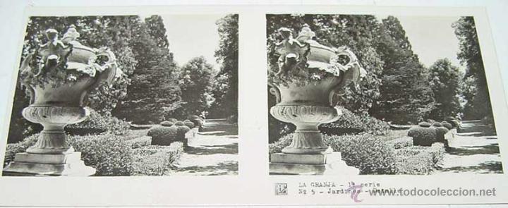 Fotografia antiga: ANTIGUA FOTOGRAFIA ESTEREOCOPICA DE LA  GRANJA - JARDINES - 1&ordf; SERIE - NUM. 5 - MIDE  13 X 6 CMS APR
