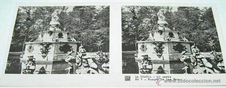 Fotografia antiga: ANTIGUA FOTOGRAFIA ESTEREOCOPICA DE LA  GRANJA - FUENTE DE LAS RANAS - 1&ordf; SERIE - NUM. 7 - MIDE  13