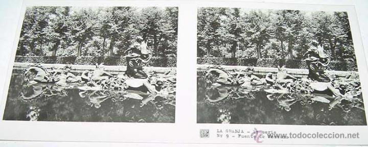 Fotografia antiga: ANTIGUA FOTOGRAFIA ESTEREOCOPICA DE LA  GRANJA - FUENTE DE NEPTUNO - 1&ordf; SERIE - NUM. 9 - MIDE  13 X