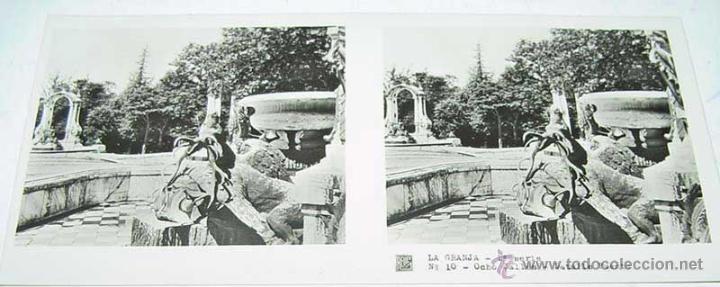 Fotografia antiga: ANTIGUA FOTOGRAFIA ESTEREOCOPICA DE LA  GRANJA - OCHO CALLES - DETALLE FUENTE - 1&ordf; SERIE - NUM. 10 -