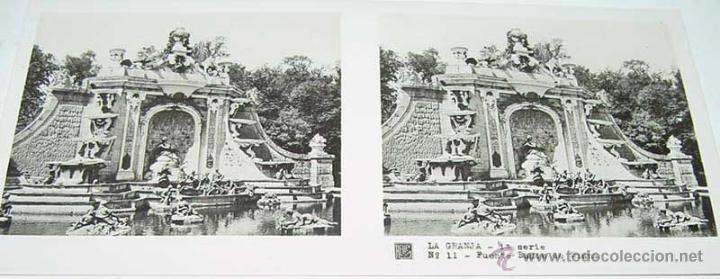 Fotografia antiga: ANTIGUA FOTOGRAFIA ESTEREOCOPICA DE LA  GRANJA - FUENTE BA&Ntilde;OS DE DIANA - 1&ordf; SERIE - NUM. 11 - MIDE