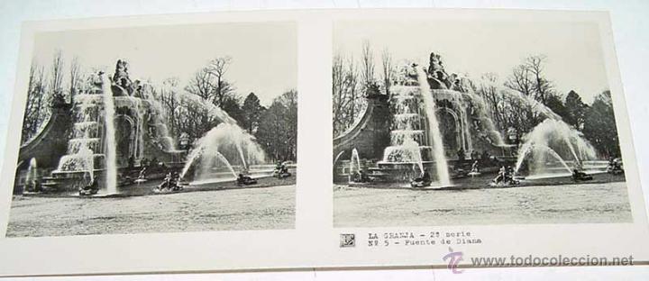 Fotografia antiga: ANTIGUA FOTOGRAFIA ESTEREOCOPICA DE LA  GRANJA - FUENTE DE DIANA - 2&ordf; SERIE - NUM. 5 - MIDE  13 X 6