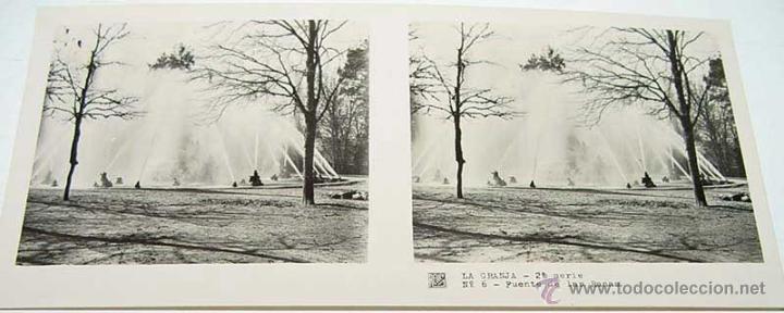 Fotografia antiga: ANTIGUA FOTOGRAFIA ESTEREOCOPICA DE LA  GRANJA - FUENTE DE LAS RANAS - 2&ordf; SERIE - NUM. 6 - MIDE  13