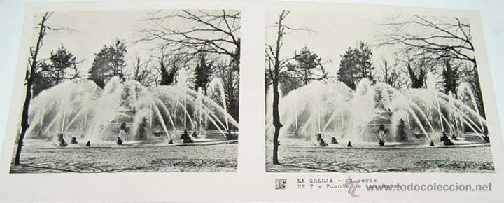 Fotografia antiga: ANTIGUA FOTOGRAFIA ESTEREOCOPICA DE LA  GRANJA - FUENTE DE LAS RANAS - 2&ordf; SERIE - NUM. 7 - MIDE  13