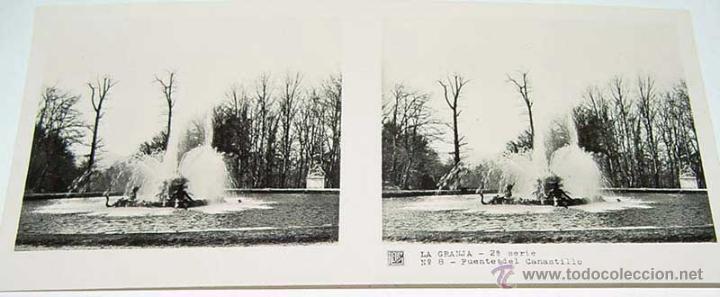 Fotografia antiga: ANTIGUA FOTOGRAFIA ESTEREOCOPICA DE LA  GRANJA - FUENTE DEL CANASTILLO - 2&ordf; SERIE - NUM. 8 - MIDE  1