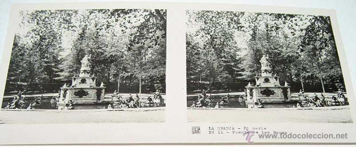 Fotografia antiga: ANTIGUA FOTOGRAFIA ESTEREOCOPICA DE LA  GRANJA - FUENTE DE LAS RANAS - 2&ordf; SERIE - NUM. 11 - MIDE  13