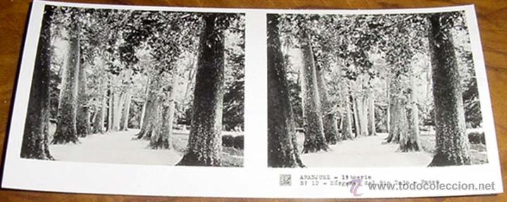 Photographie ancienne: ANTIGUA FOTO ESTEREOSCOPICA DE ARANJUEZ - 1&ordf; SERIE NUM. 12 - JARDIN MARGENES DEL RIO TAJO - MIDE 12,