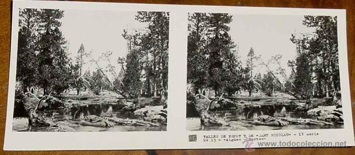 Fotografia antiga: ANTIGUA FOTO ESTEREOSCOPICA DE LERIDA VALLES DE ESPOT Y DE SAN NICOLAU - PIRINEO DE LERIDA - COLECCI