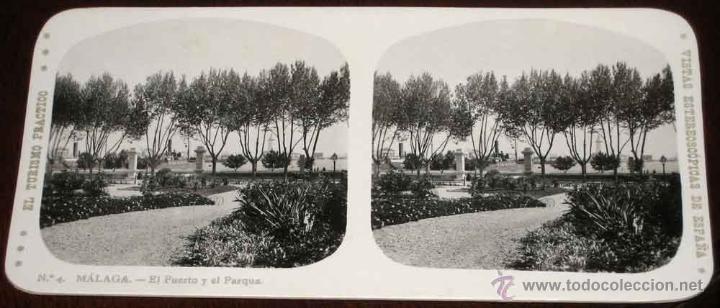 Fotografia antica: ANTIGUA ESTEREOSCOPIA DE MALAGA - N. 4 - EL PUERTO Y EL PARQUE - VISTAS ESTEREOSCOPICAS DE ESPA&Ntilde;A -