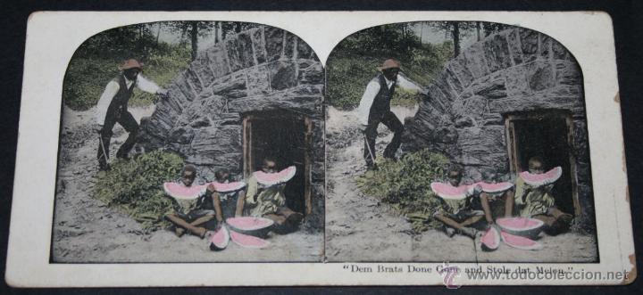 Fotografia antiga: LE ROBADON EL MELON - FOTOGRAFIA ANTIGUA ESTEREOSCOPICA