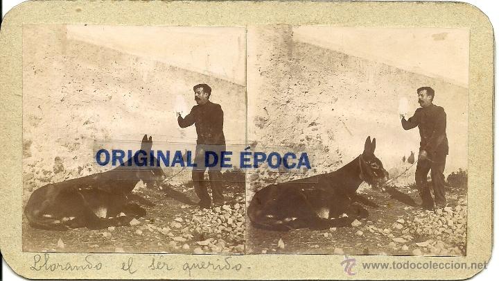 Fotografia antiga: (ES-116)FOTOGRAFIA ESTEREOSCOPICA DE SANTA CREU DE OLERDOLA???