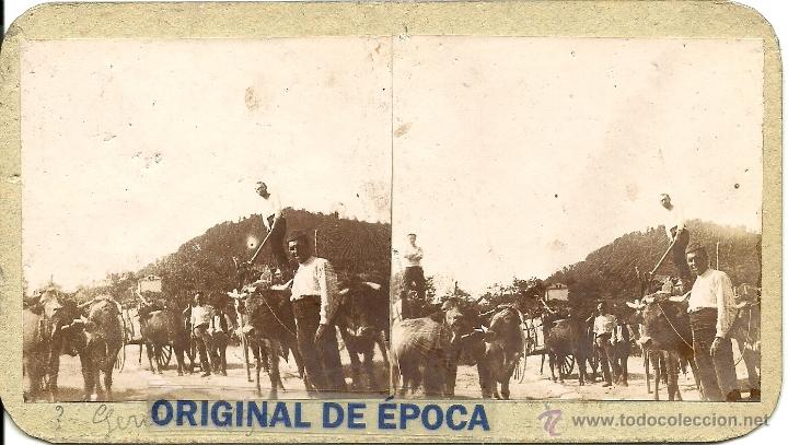 Fotografia antiga: (ES-108)FOTOGRAFIA ESTEREOSCOPICA DE SANTA CREU DE OLERDOLA???