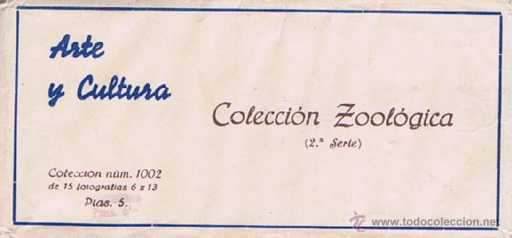 Fotografia antiga: VISTAS ESTEREOSC&Oacute;PICAS - ARTE Y CULTURA - COLECCI&Oacute;N ZOOL&Oacute;GICA (2&ordf; SERIE) - COLECCI&Oacute;N N&ordm; 1002 DE 15 F