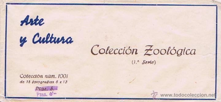 Fotografia antiga: VISTAS ESTEREOSC&Oacute;PICAS - ARTE Y CULTURA - COLECCI&Oacute;N ZOOL&Oacute;GICA (1&ordf; SERIE) - COLECCI&Oacute;N N&ordm; 1001 DE 15 F