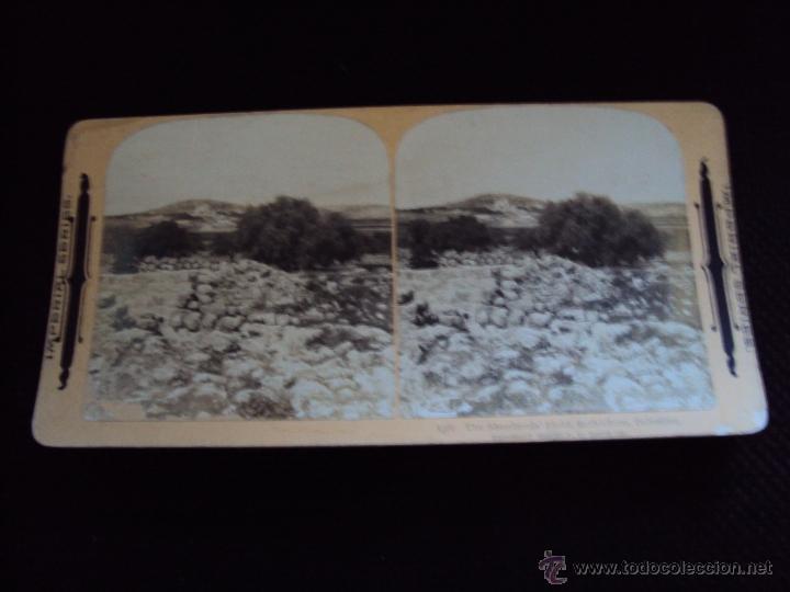 Fotografia antica: (ES-517)FOTOGRAFIA ESTEREOSCOPICA DE PALESTINA