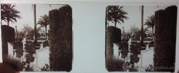 Fotografia antiga: FOTOGRAF&Iacute;A ESTEREOSC&Oacute;PICA - PARQUE DE MARIA LUISA - GLORIETA DE CERVANTES - POSITIVO EN CRISTAL