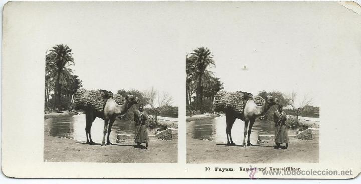 Fotografia antiga: vista estereoscopica Fayum, Egipto