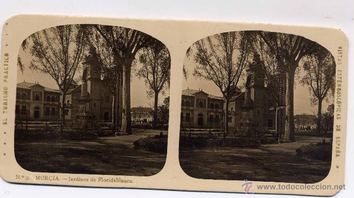 Fotografia antica: MURCIA.- JARDINES DE FLORIDABLANCA