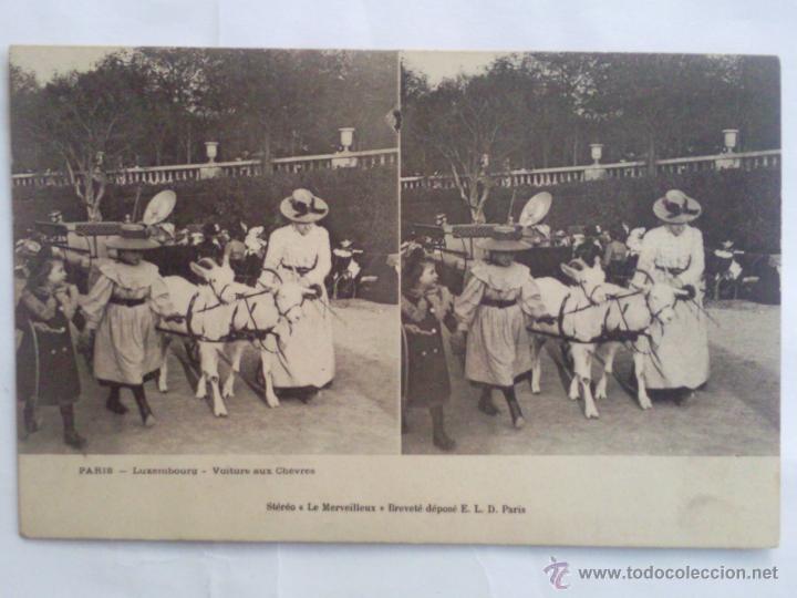Fotografia antica: POSTAL ESTEREOSCOPICA PARIS,- LUXEMBURGO - LAS CABRAS TRANSPORTAN EL CARRO