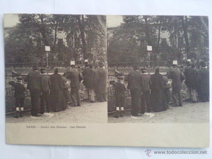 Fotografia antica: POSTAL ESTEREOSCOPICA PARIS,- JARDIN DE PLANTAS - LEONES MARINOS