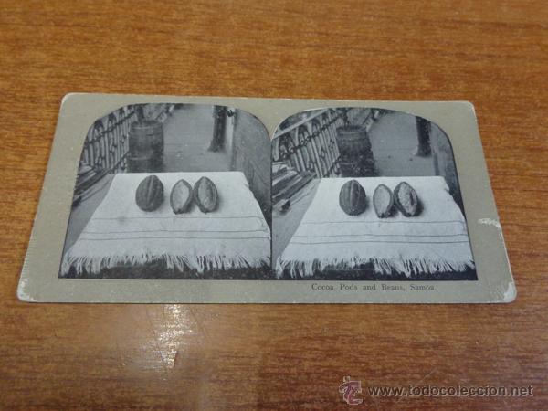 Fotografia antiga: FOTOGRAF&Iacute;A ESTEREOSC&Oacute;PICA. COCOA PODS AND BEANS, SAMOA. PRINCIPIOS S. XX. SEMILLAS DE CACAO