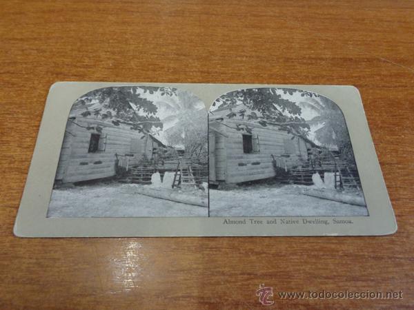 Fotografia antiga: FOTOGRAF&Iacute;A ESTEREOSC&Oacute;PICA. ALMOND TREE AND NATIVE DWELLING, SAMOA. PRINCIPIOS S. XX